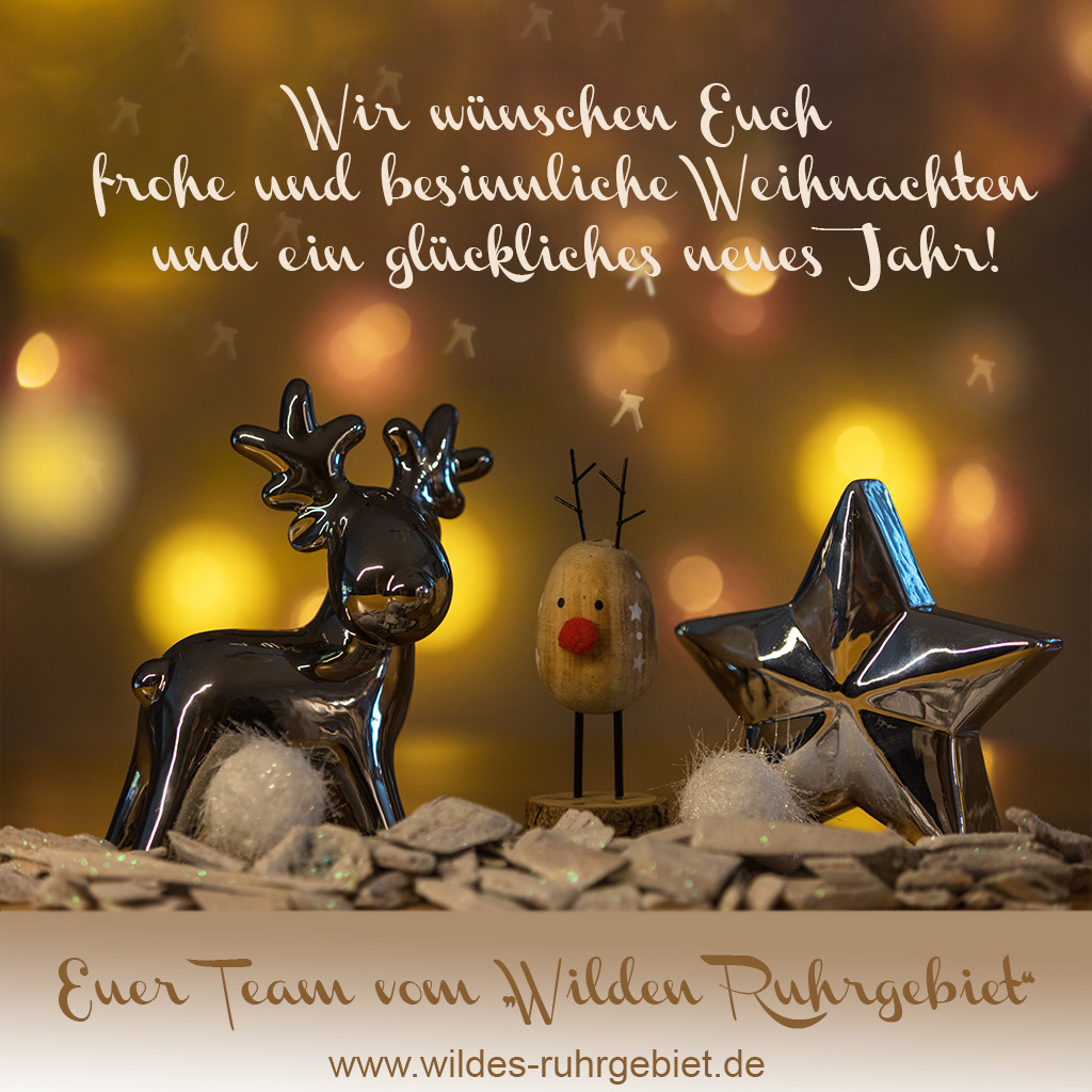 Grußkarte zu Weihnachten von Sabine Fabritz