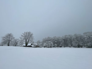 Schneelandschaft in Essen Fischlaken
