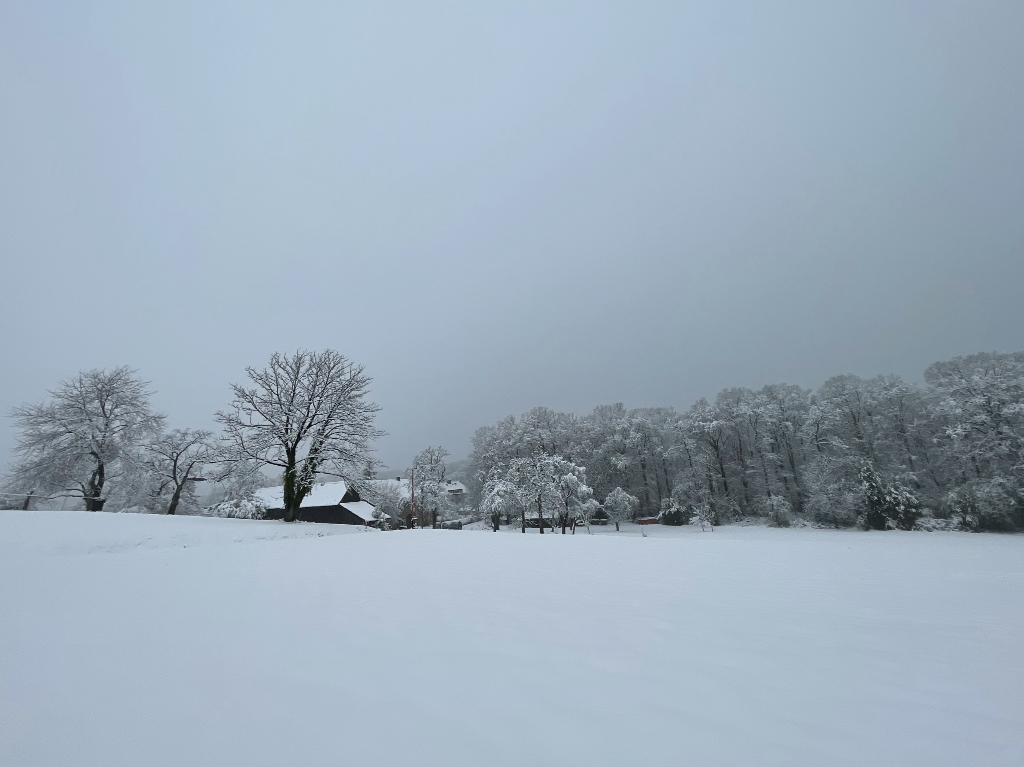 Schneelandschaft in Essen Fischlaken