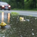 Rennen gegen die Zeit