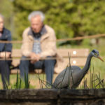 Ruhige Gespräche in der Stadtnatur. Und der Reiher geht seinem Geschäft nach. © Wildes Ruhrgebiet - Dr. Heiko Herrmann