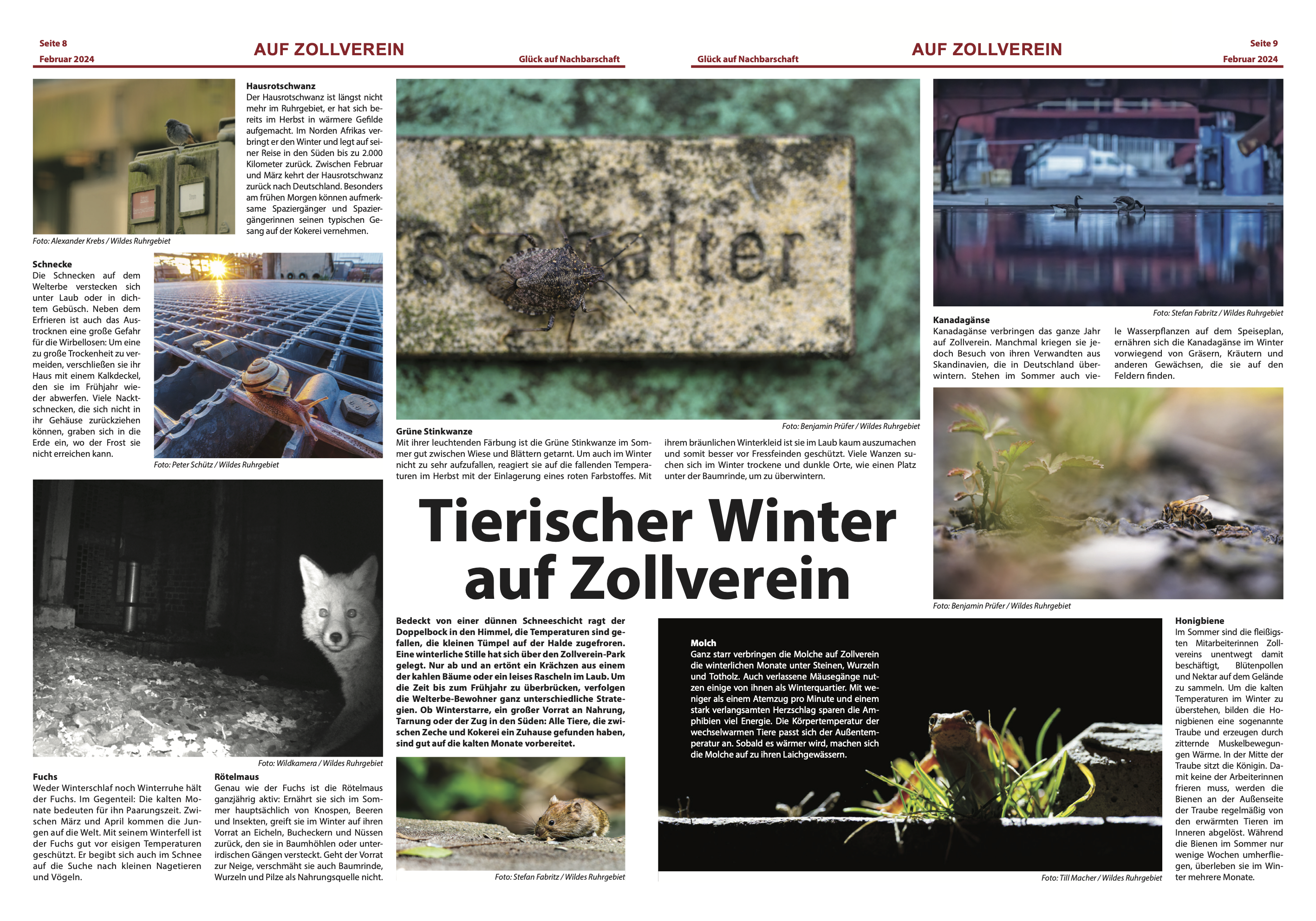 Artikel der Stiftung Zollverein von Anna Ehlert und Doreen Scholz