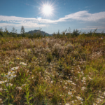 CentrO - Brachen im Ruhrgebiet © Peter Schütz