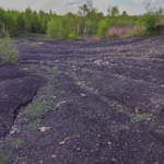 Taubes Gestein - Brachen im Ruhrgebiet © Peter Schütz